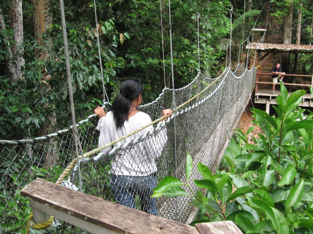 Iwokrama River Lodge Makari 외부 사진