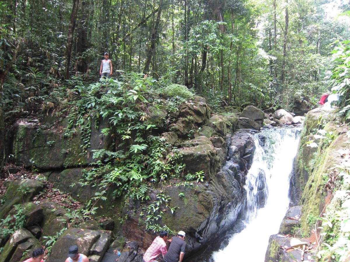 Iwokrama River Lodge Makari 외부 사진